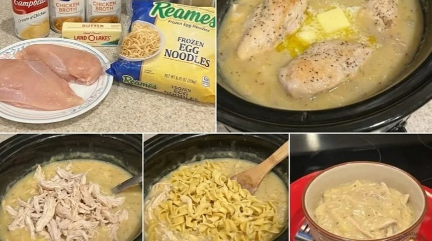 Creamy chicken noodles dish served in a bowl with herbs and spices