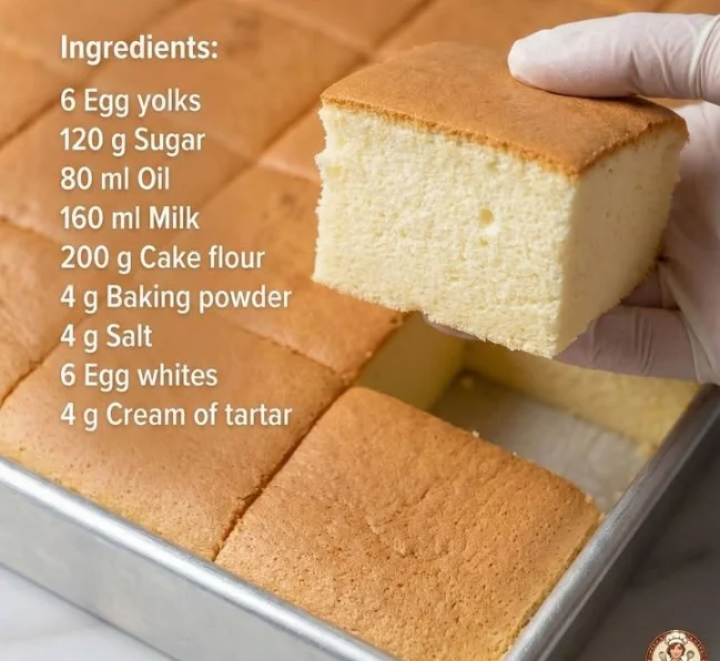 Fluffy and soft easy chiffon cake on a decorative plate