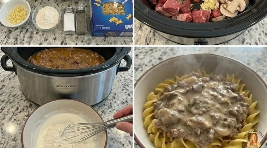 Bowl of slow cooker beef stroganoff with fresh herbs and egg noodles