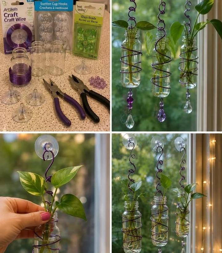 DIY spiral hanging plant propagation bottles for indoor gardening
